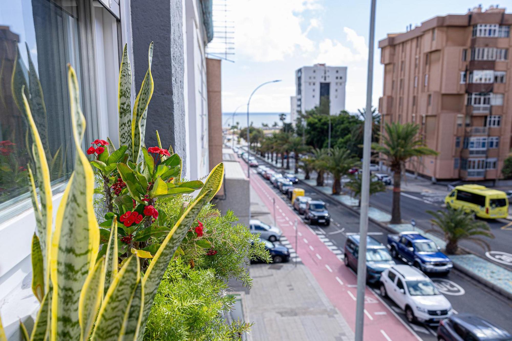 Bambu Suites Vegueta Alquiler Por Habitacion Las Palmas de Gran Canaria Kültér fotó