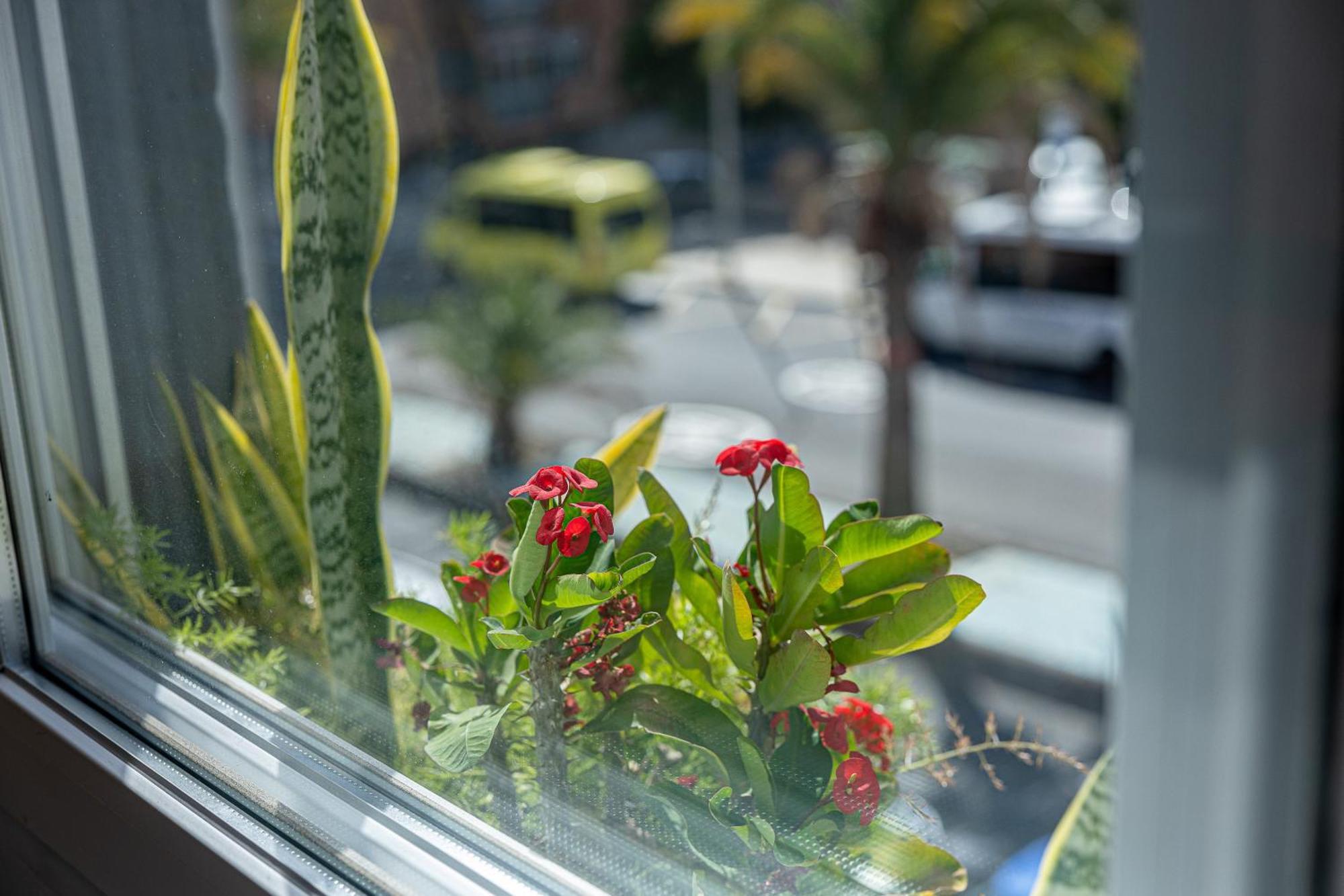 Bambu Suites Vegueta Alquiler Por Habitacion Las Palmas de Gran Canaria Kültér fotó