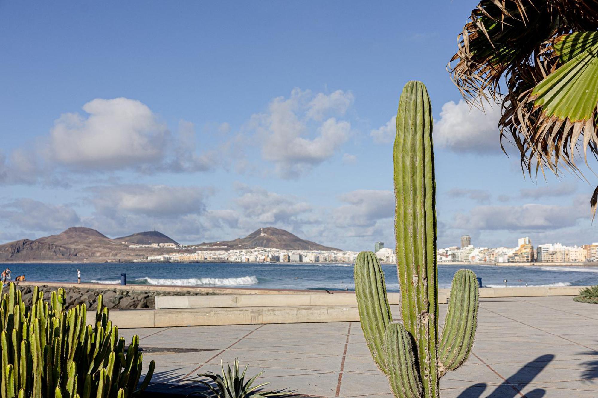 Bambu Suites Vegueta Alquiler Por Habitacion Las Palmas de Gran Canaria Kültér fotó